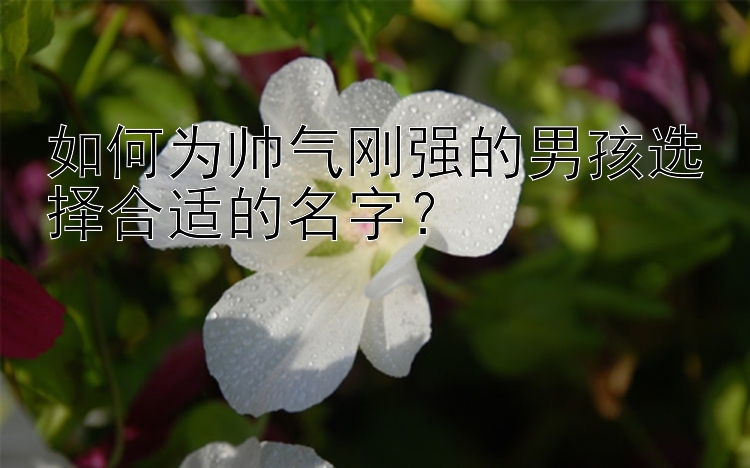 如何为帅气刚强的男孩选择合适的名字？