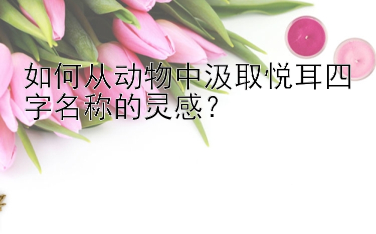 如何从动物中汲取悦耳四字名称的灵感？