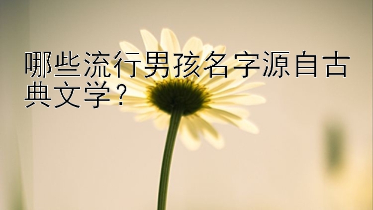 哪些流行男孩名字源自古典文学？