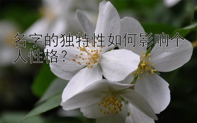 名字的独特性如何影响个人性格？