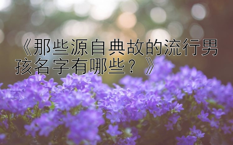 《那些源自典故的流行男孩名字有哪些？》