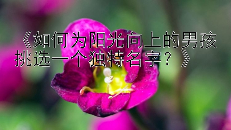 《如何为阳光向上的男孩挑选一个独特名字？》