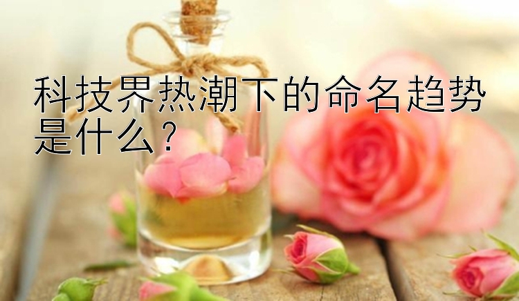 科技界热潮下的命名趋势是什么？