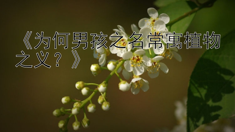 《为何男孩之名常寓植物之义？》