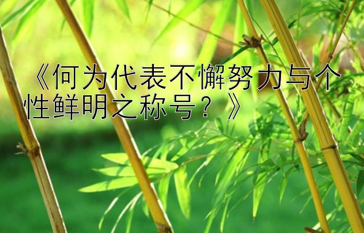 《何为代表不懈努力与个性鲜明之称号？》