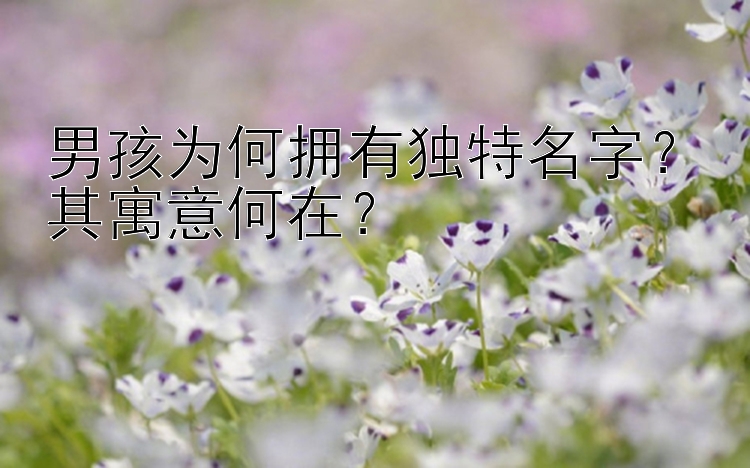 男孩为何拥有独特名字？其寓意何在？