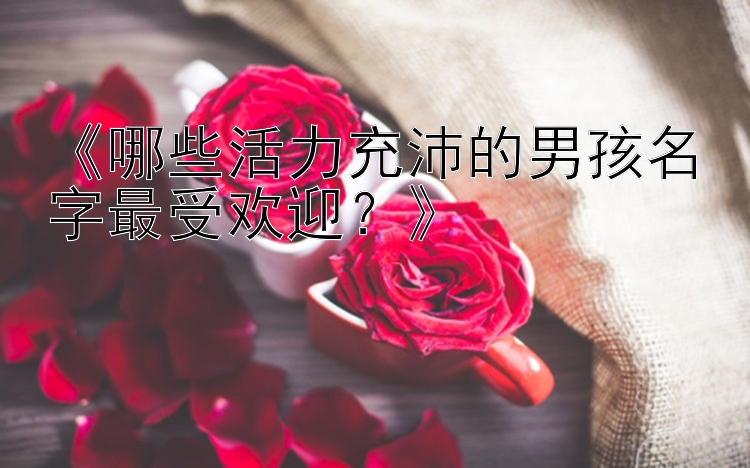 《哪些活力充沛的男孩名字最受欢迎？》