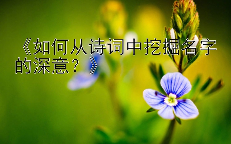 《如何从诗词中挖掘名字的深意？》