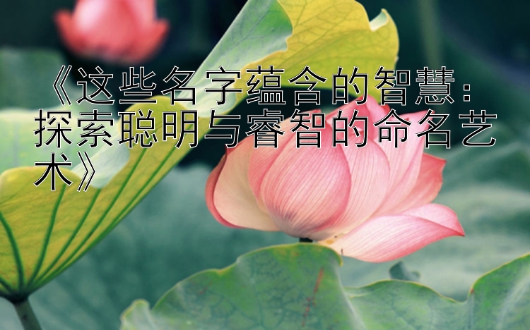 《这些名字蕴含的智慧：探索聪明与睿智的命名艺术》