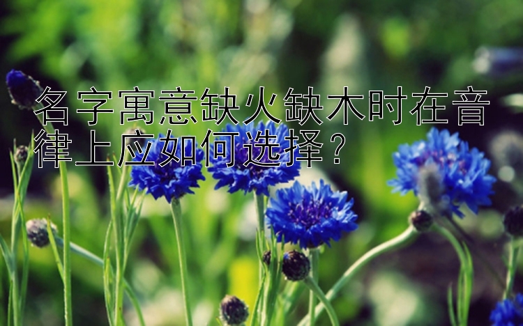 名字寓意缺火缺木时在音律上应如何选择？