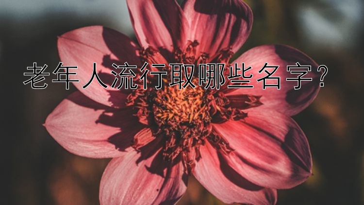 老年人流行取哪些名字？