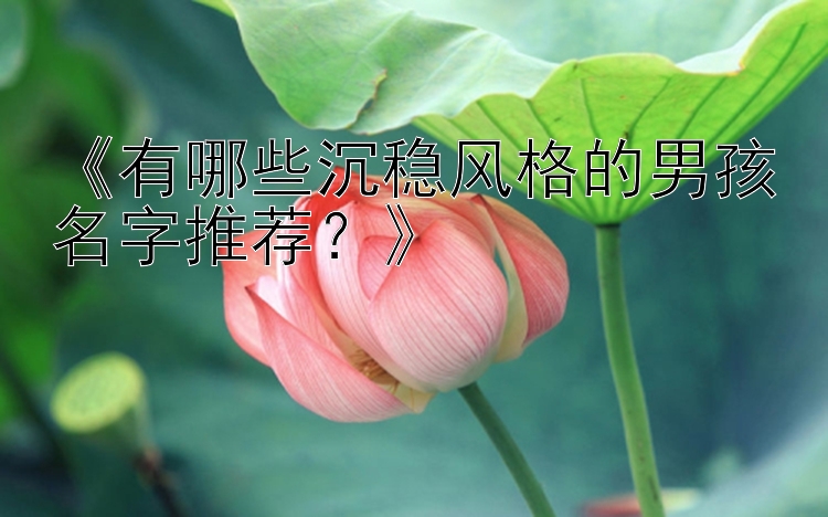 《有哪些沉稳风格的男孩名字推荐？》