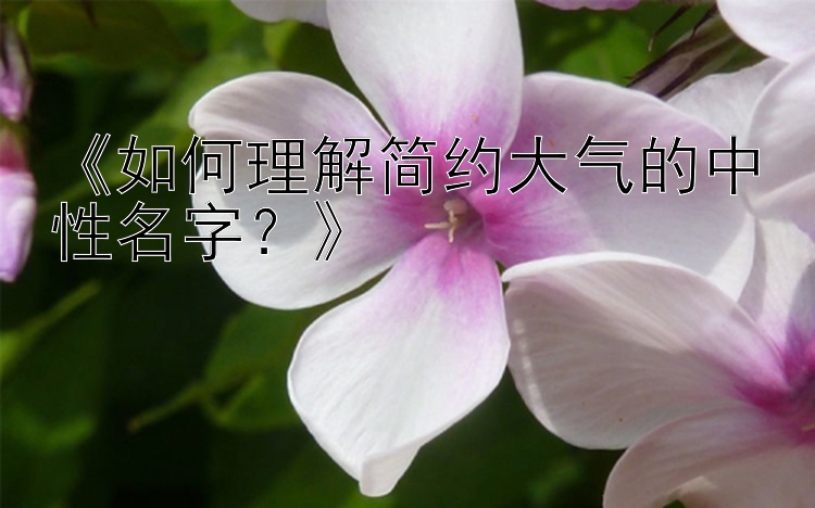 《如何理解简约大气的中性名字？》