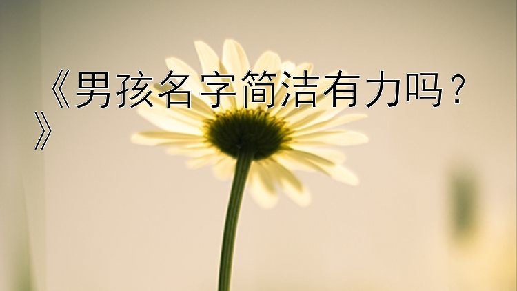 《男孩名字简洁有力吗？》