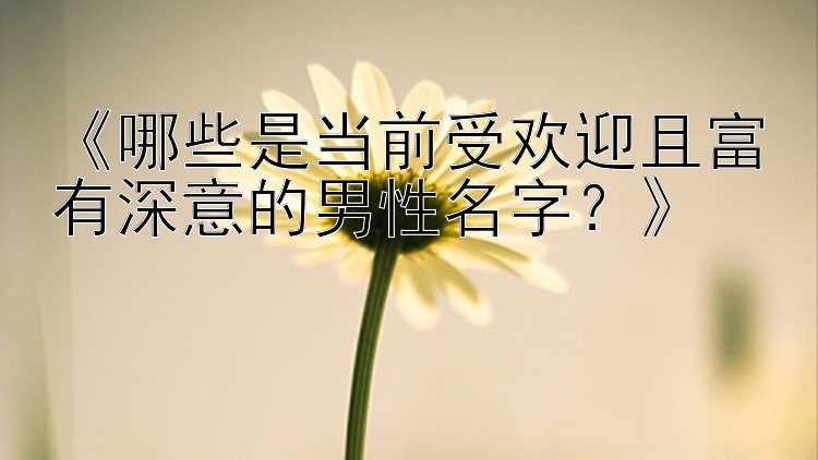 《哪些是当前受欢迎且富有深意的男性名字？》