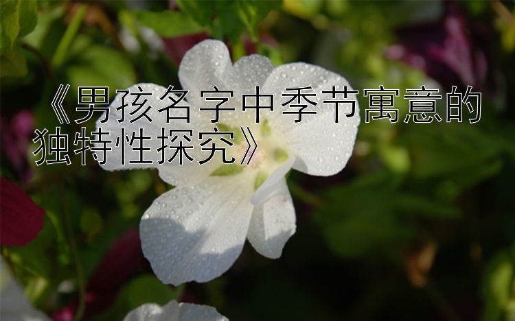 《男孩名字中季节寓意的独特性探究》