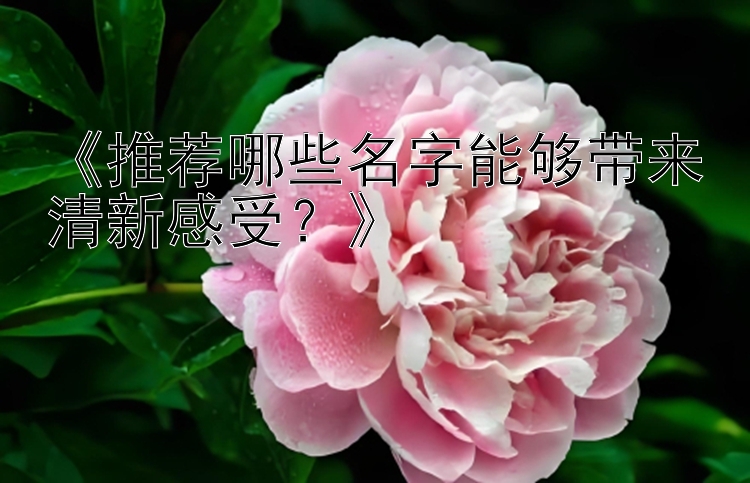 《推荐哪些名字能够带来清新感受？》