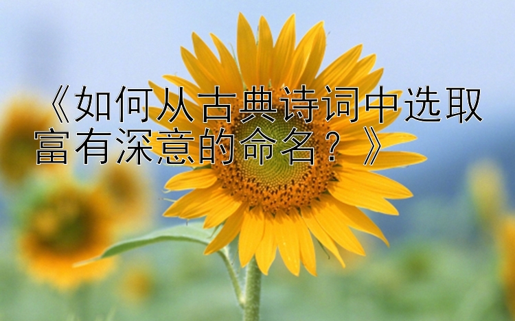 《如何从古典诗词中选取富有深意的命名？》