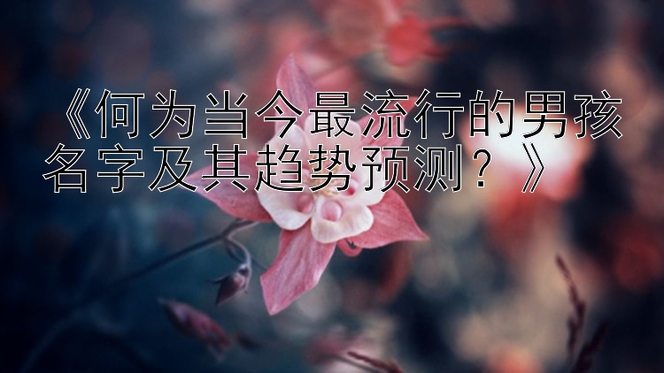 《何为当今最流行的男孩名字及其趋势预测？》