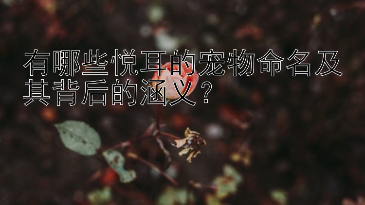 有哪些悦耳的宠物命名及其背后的涵义？