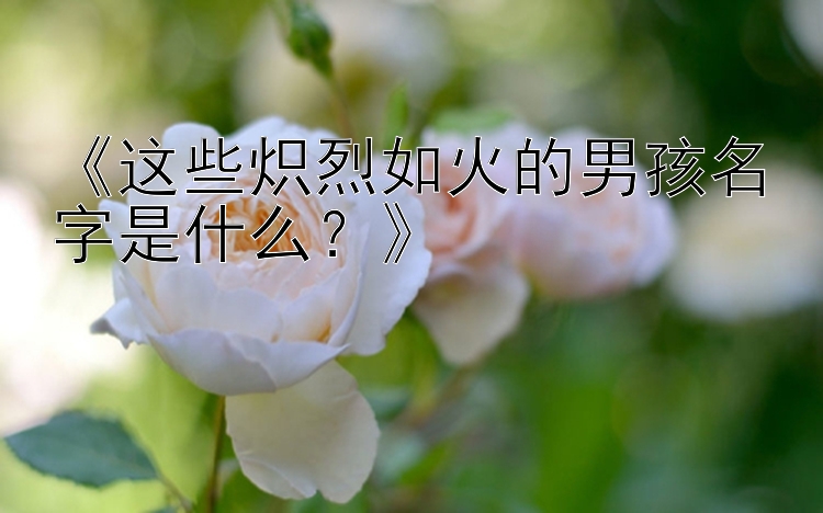 《这些炽烈如火的男孩名字是什么？》