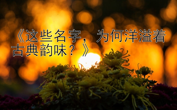 《这些名字，为何洋溢着古典韵味？》