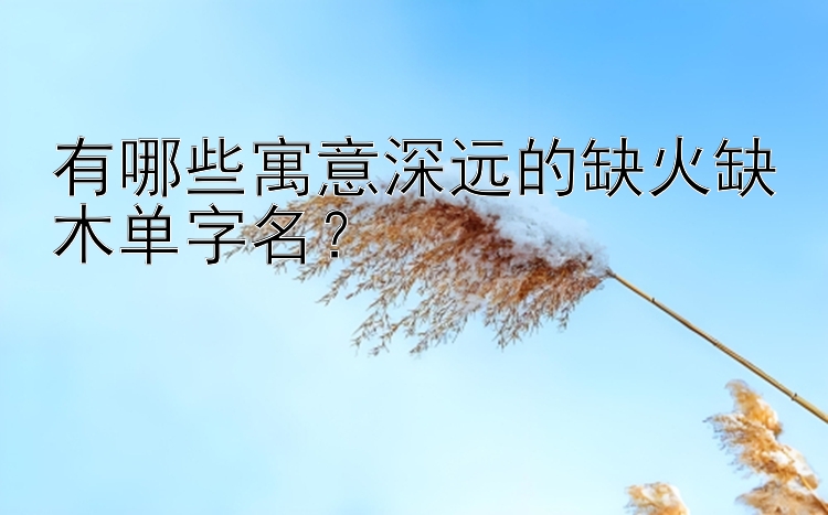 有哪些寓意深远的缺火缺木单字名？