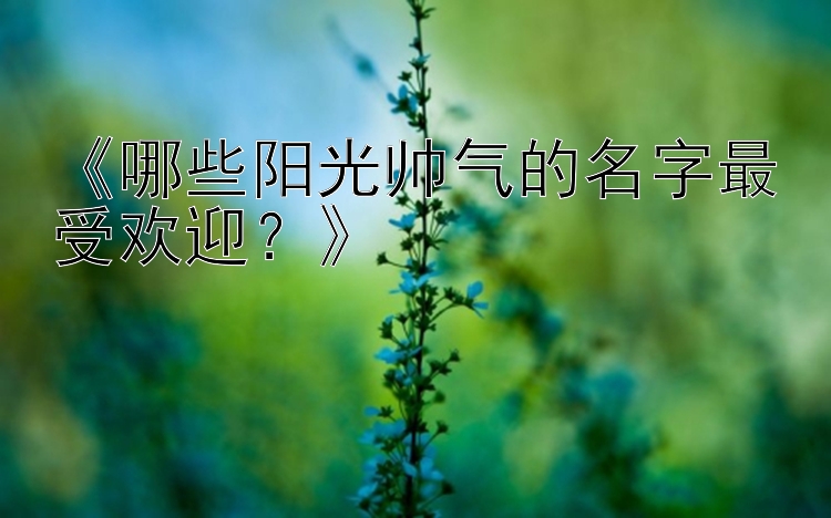 《哪些阳光帅气的名字最受欢迎？》