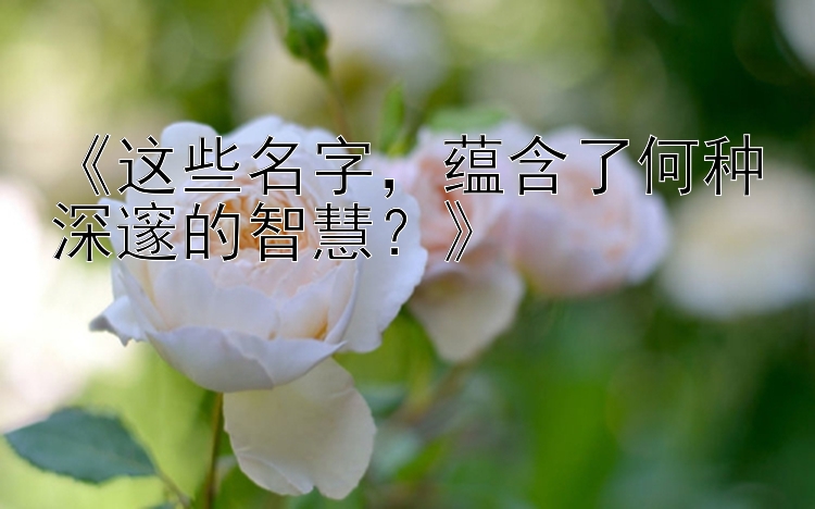 《这些名字，蕴含了何种深邃的智慧？》