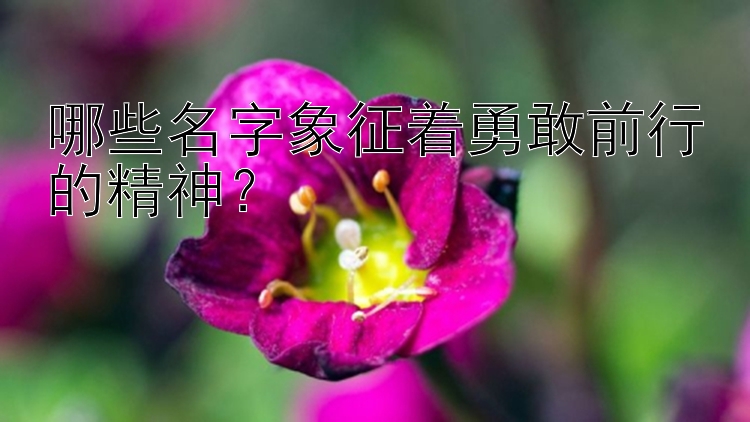 哪些名字象征着勇敢前行的精神？