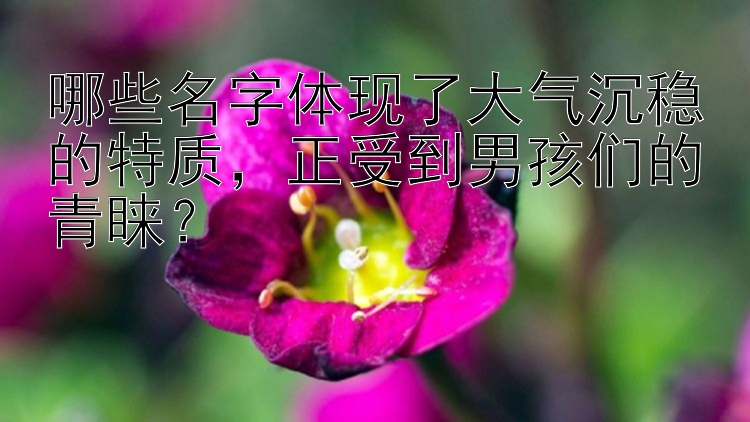 哪些名字体现了大气沉稳的特质，正受到男孩们的青睐？