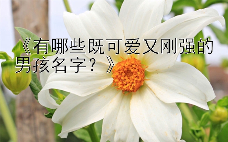 《有哪些既可爱又刚强的男孩名字？》