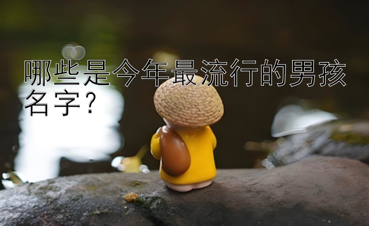 哪些是今年最流行的男孩名字？