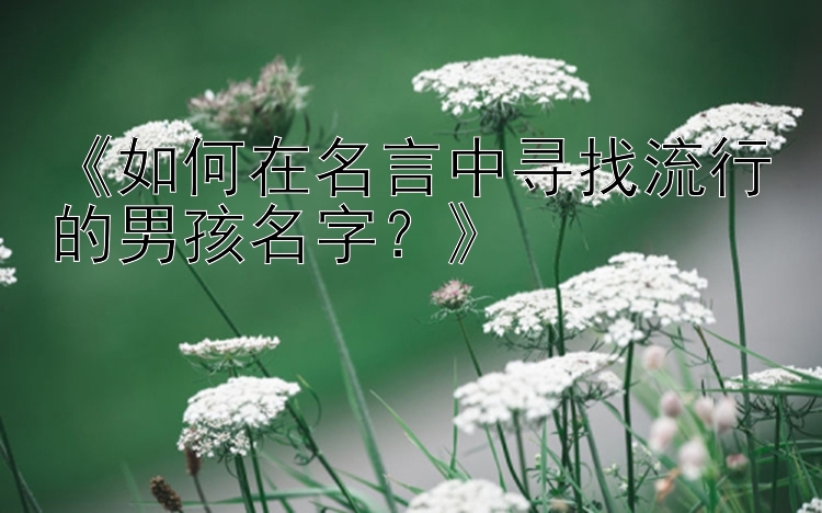 《如何在名言中寻找流行的男孩名字？》