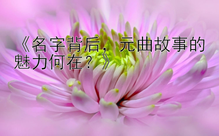 《名字背后，元曲故事的魅力何在？》