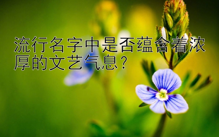 流行名字中是否蕴含着浓厚的文艺气息？