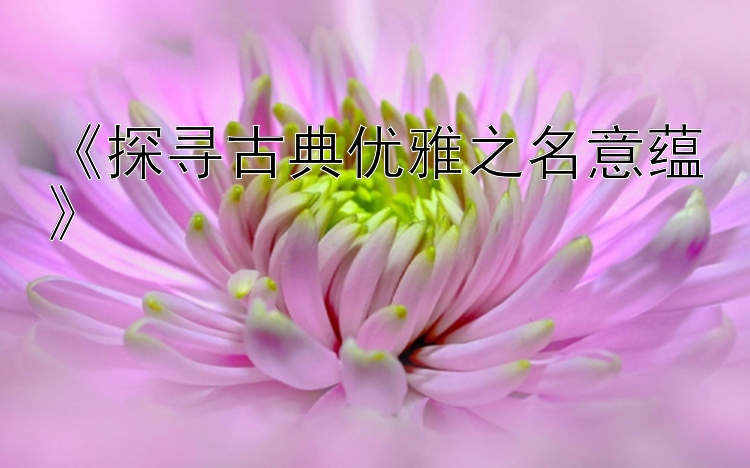 《探寻古典优雅之名意蕴》