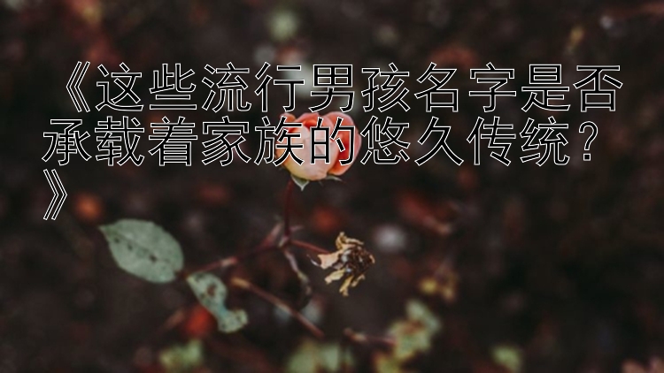 《这些流行男孩名字是否承载着家族的悠久传统？》