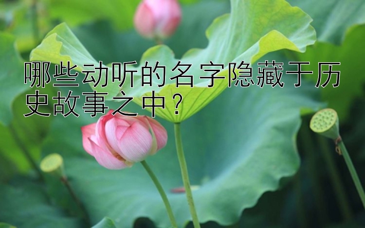 哪些动听的名字隐藏于历史故事之中？