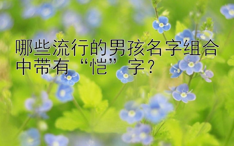 哪些流行的男孩名字组合中带有“恺”字？