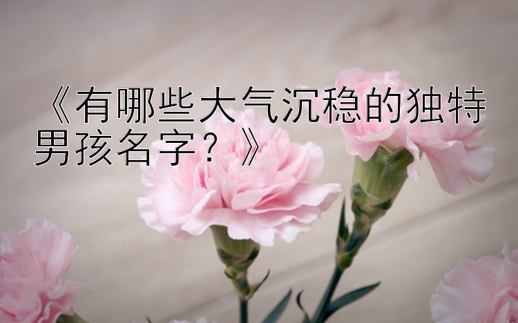 《有哪些大气沉稳的独特男孩名字？》