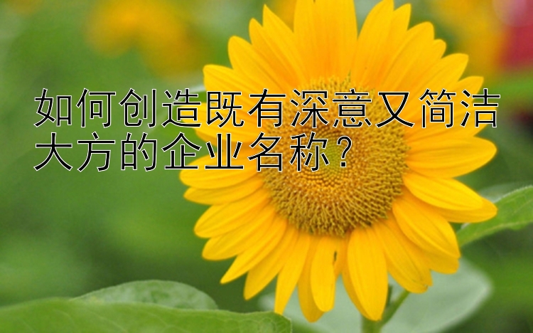 如何创造既有深意又简洁大方的企业名称？