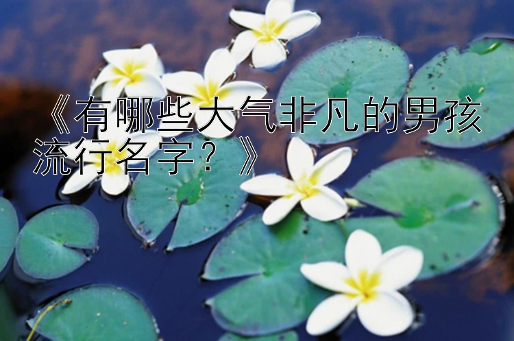 《有哪些大气非凡的男孩流行名字？》