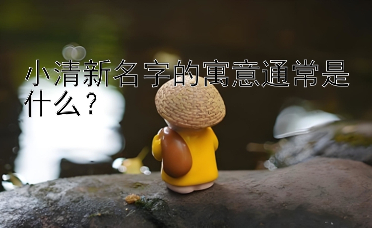 小清新名字的寓意通常是什么？