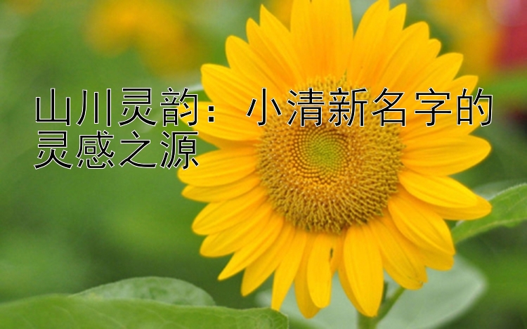 山川灵韵：小清新名字的灵感之源