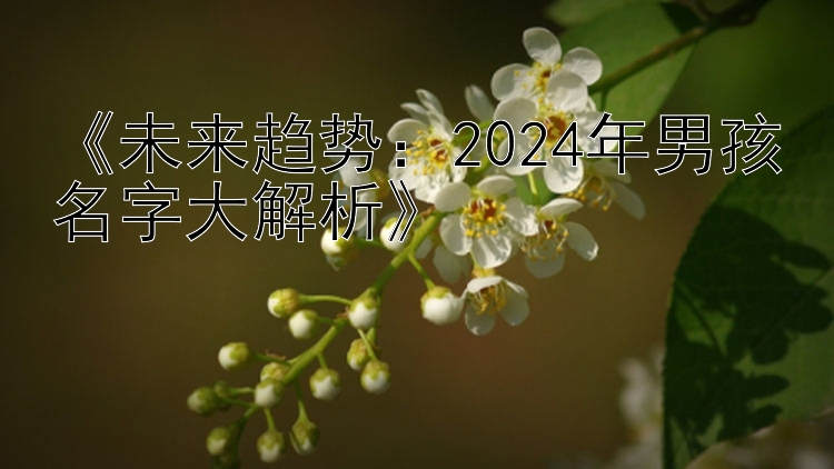 《未来趋势：2024年男孩名字大解析》