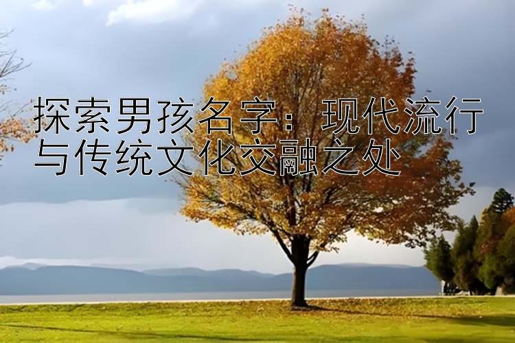 探索男孩名字：现代流行与传统文化交融之处