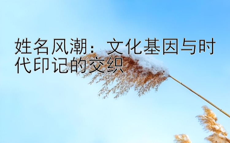 姓名风潮：文化基因与时代印记的交织