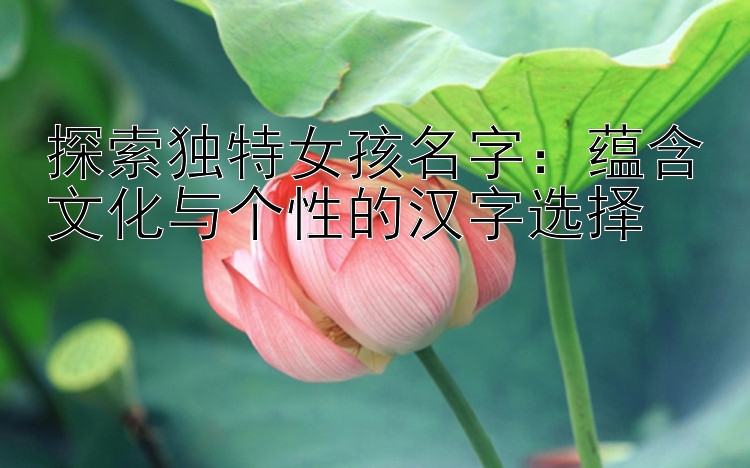 探索独特女孩名字：蕴含文化与个性的汉字选择