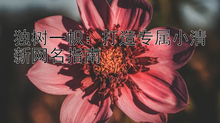 独树一帜：打造专属小清新网名指南